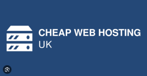 Read more about the article Title: Affordable Excellence: A Comprehensive Guide to Cheap Web Hosting